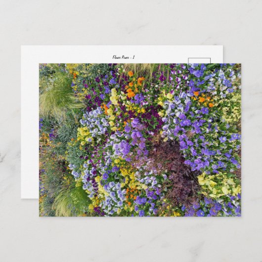 Flower Power - 1 Briefkaart (Voorkant / Achterkant)