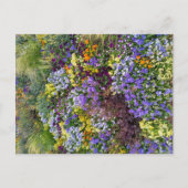 Flower Power - 1 Briefkaart (Voorkant)