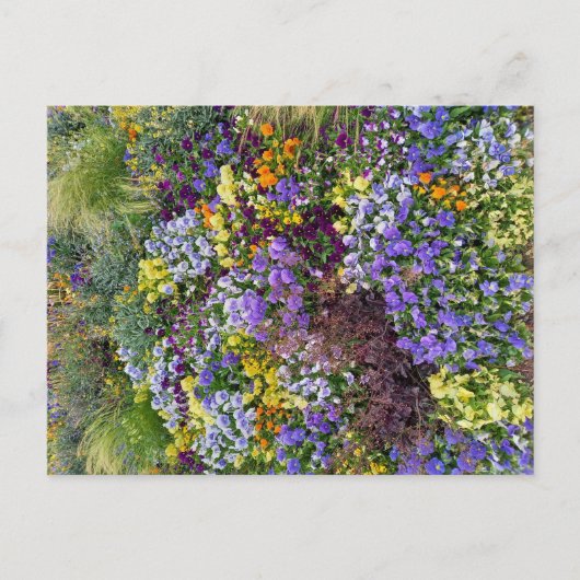 Flower Power - 1 Briefkaart (Voorkant)