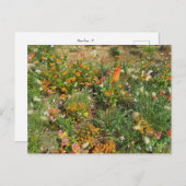 Flower Power - 2 Briefkaart (Voorkant / Achterkant)