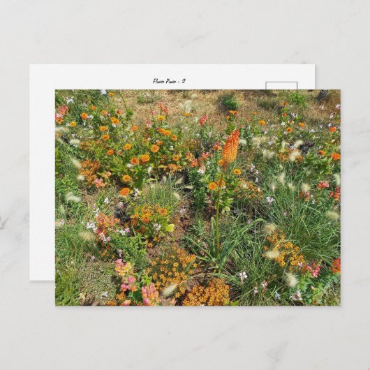 Flower Power - 2 Briefkaart (Voorkant / Achterkant)