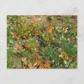 Flower Power - 2 Briefkaart (Voorkant)