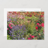 Flower Power - 3 Briefkaart (Voorkant / Achterkant)