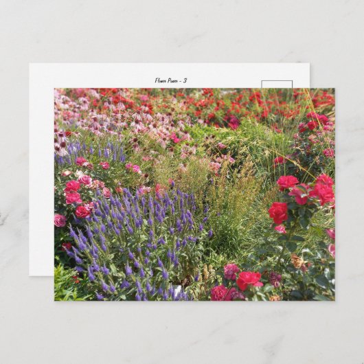 Flower Power - 3 Briefkaart (Voorkant / Achterkant)