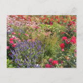 Flower Power - 3 Briefkaart (Voorkant)