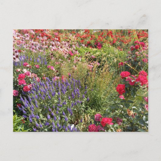 Flower Power - 3 Briefkaart (Voorkant)