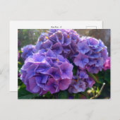 Flower Power 4 Briefkaart (Voorkant / Achterkant)