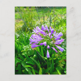 Flower Power - 5 Briefkaart