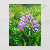 Flower Power - 5 Briefkaart (Voorkant)