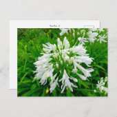 Flower Power - 6 Briefkaart (Voorkant / Achterkant)