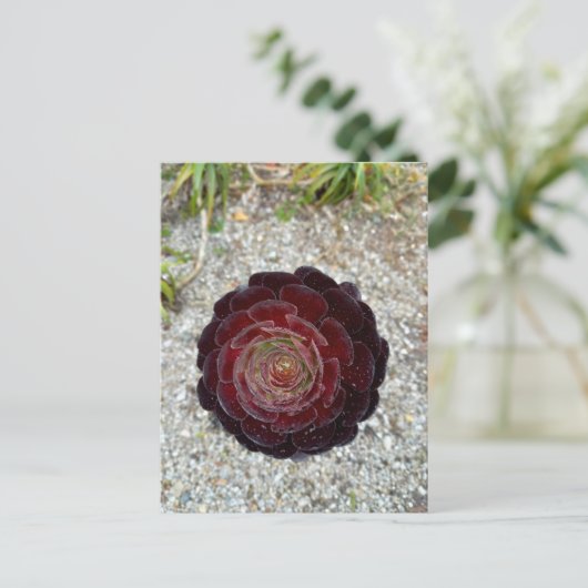 Flower Power - 7 Briefkaart (Staand voorkant)