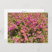 Flower Power - 8 Briefkaart (Voorkant / Achterkant)