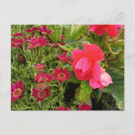 Flower Power - 9 Briefkaart