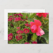 Flower Power - 9 Briefkaart (Voorkant / Achterkant)