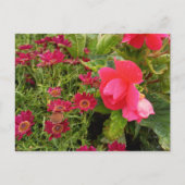 Flower Power - 9 Briefkaart (Voorkant)