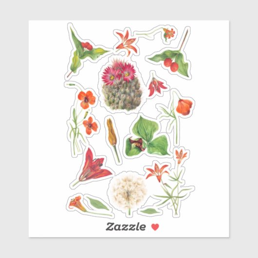  Flower Scrapbook Stickers - Classic (Vel)