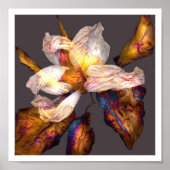 Flower Song Poster (Voorkant)