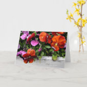 Flowerbox van Pansies Kaart (Gele Bloem)