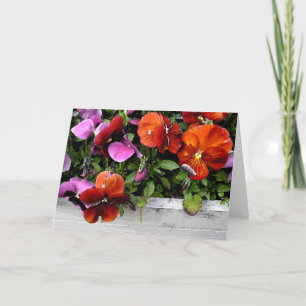 Flowerbox van Pansies Kaart