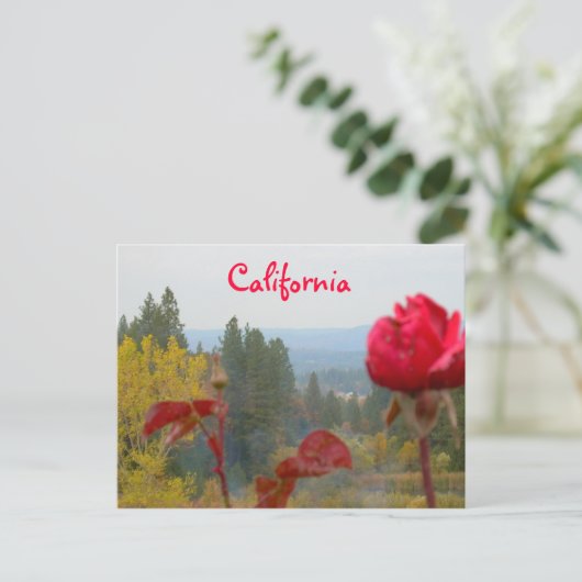 Flowered California Briefkaart (Staand voorkant)