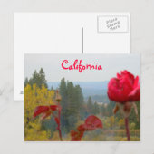 Flowered California Briefkaart (Voorkant / Achterkant)