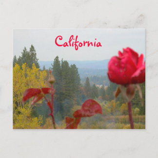 Flowered California Briefkaart