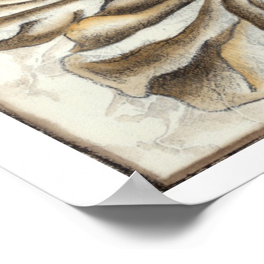 Flowerhead Fresco op Tan Background Poster (Hoek)