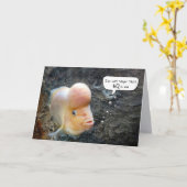 Flowerhorn Fish 60th Birthday Humor Kaart (Gele Bloem)