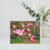 Flowering Dogwood Briefkaart (Staand voorkant)