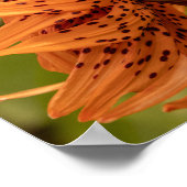 Flowering Petals Poster (Hoek)