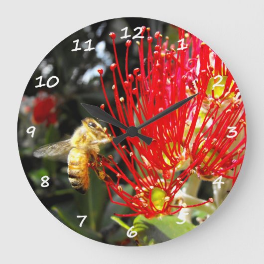 Flowering Pohutukawa Tree Grote Klok (Voorkant)