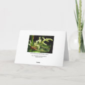 Flowering Rhubarb Stalks Blank Card Kaart (Achterkant)