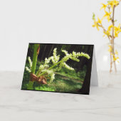 Flowering Rhubarb Stalks Blank Card Kaart (Gele Bloem)
