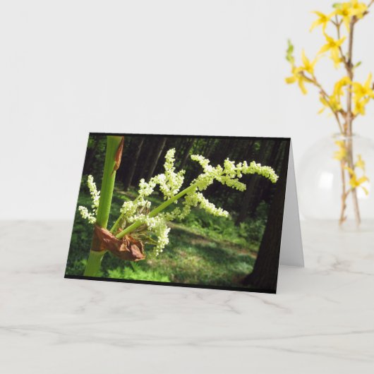Flowering Rhubarb Stalks Blank Card Kaart (Gele Bloem)