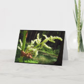 Flowering Rhubarb Stalks Blank Card Kaart (Voorkant)