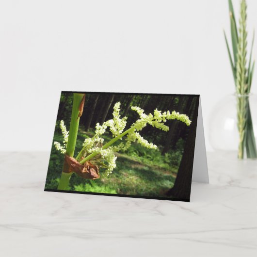 Flowering Rhubarb Stalks Blank Card Kaart (Voorkant)