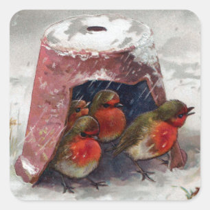 Flowerpot Birdhouse voor Europese Robins Vierkante Sticker