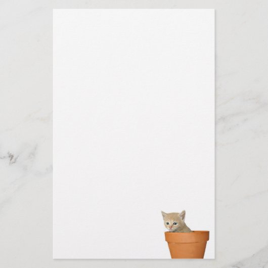 Flowerpot kitten briefpapier (Voorkant)