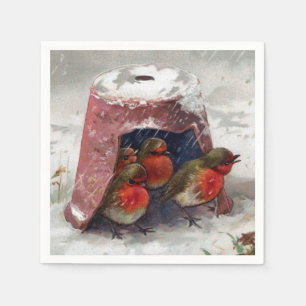 Flowerpot Shelter voor English Robins Servet