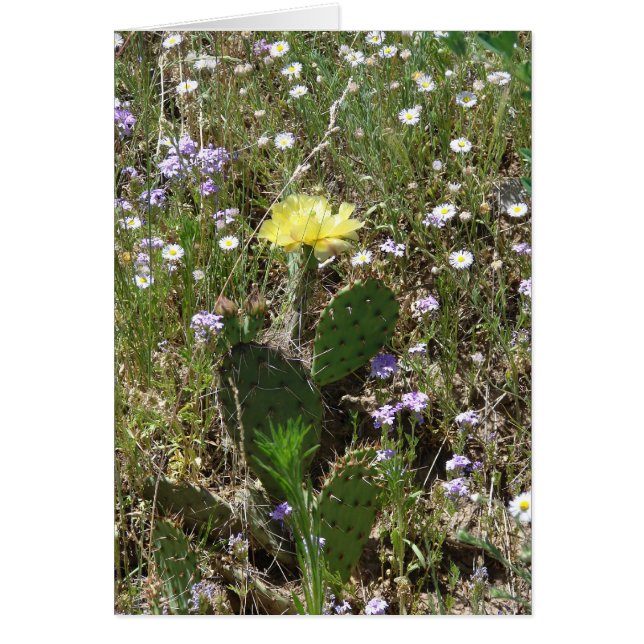 Flowers (Voorkant)