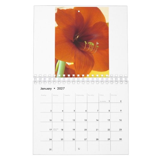 Flowers 2013 Agenda Kalender (Jan 2027)