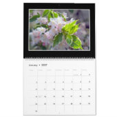 Flowers 2022 Maandelijkse kalender door Tom Minuto (Jan 2027)