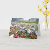 Flowers among Rocks Kaart (Gele Bloem)