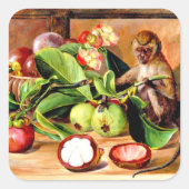 Flowers and fruit of Mangosteen; Singapore Monkey Vierkante Sticker (Voorkant)