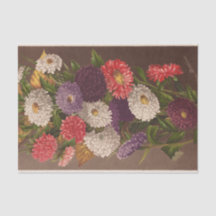 Flowers Asters door Ellen Robbins
