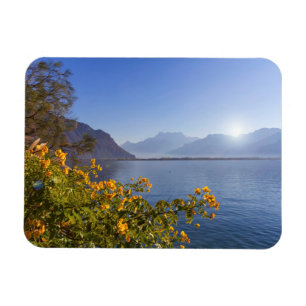 Flowers at Genève Lake, Montreux, Zwitserland Magneet