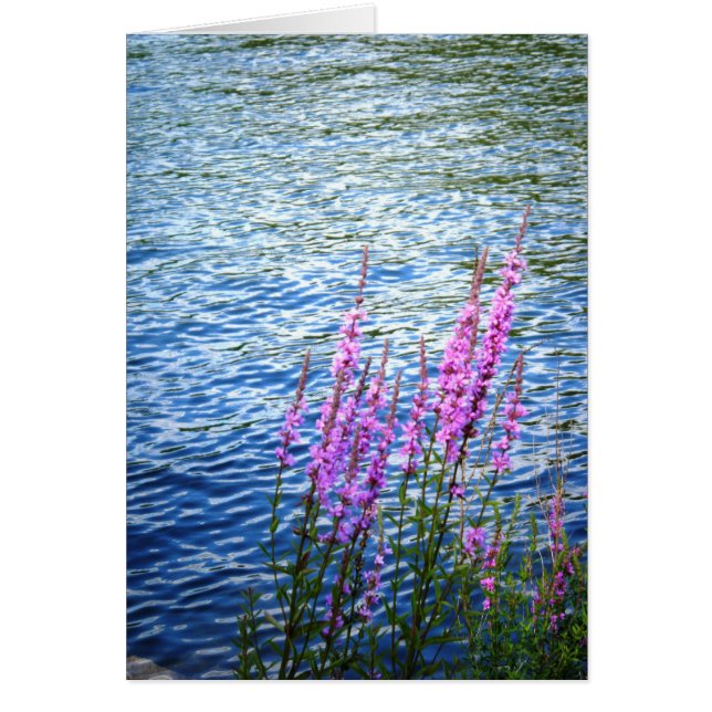 "Flowers at Long Pond" (Voorkant)