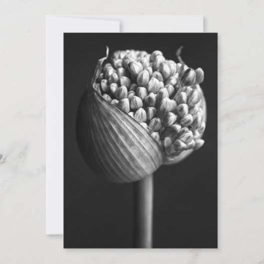 Flowers | B&W Allium Flower Bud Bedankkaart (Voorkant)