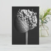 Flowers | B&W Allium Flower Bud Bedankkaart (Staand voorkant)