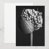 Flowers | B&W Allium Flower Bud Bedankkaart (Voorkant / Achterkant)